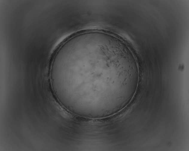 X0000091541216200708311324