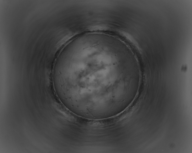 X0000091541217200708311324