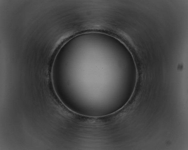 X0000091541218200708311324
