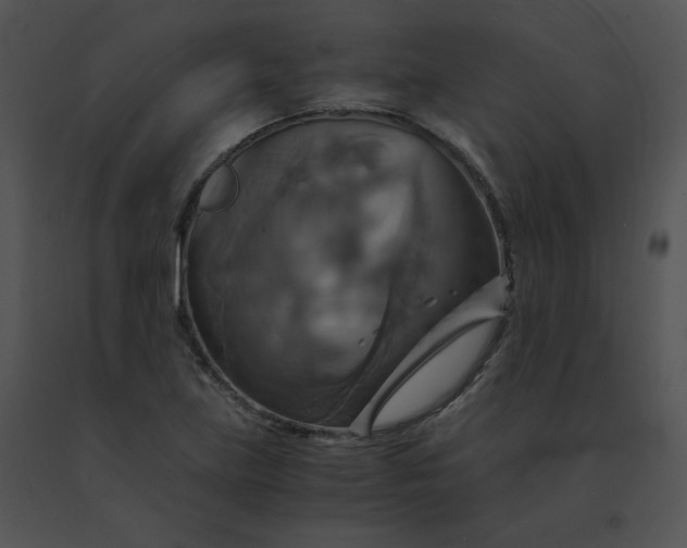 X0000091541219200708311324