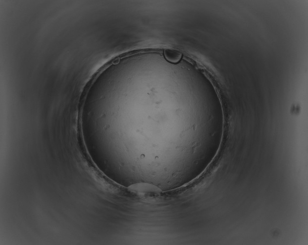 X0000091541220200708311324