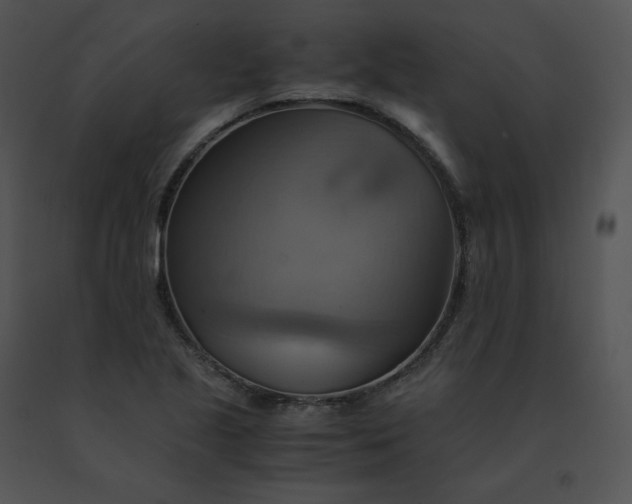X0000091541221200708311324