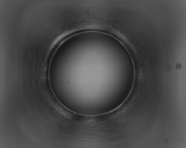 X0000091541222200708311324