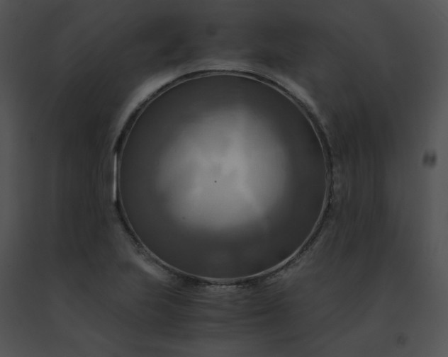 X0000091541223200708311324