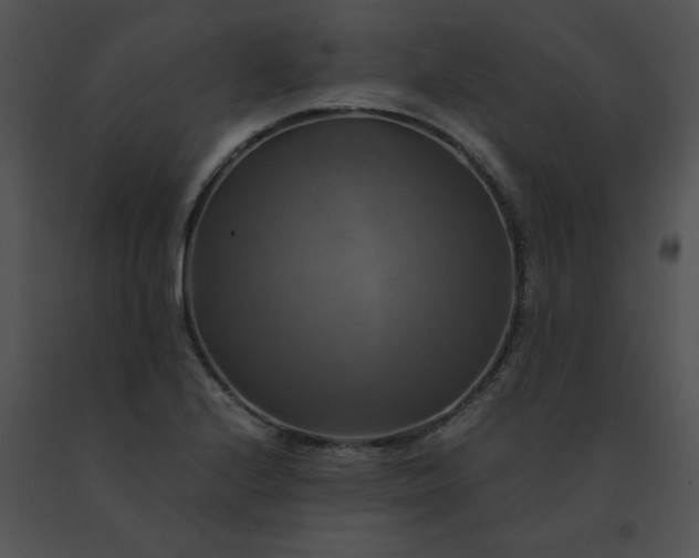 X0000091541224200708311324