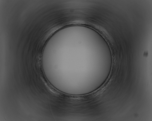 X0000091541225200708311324
