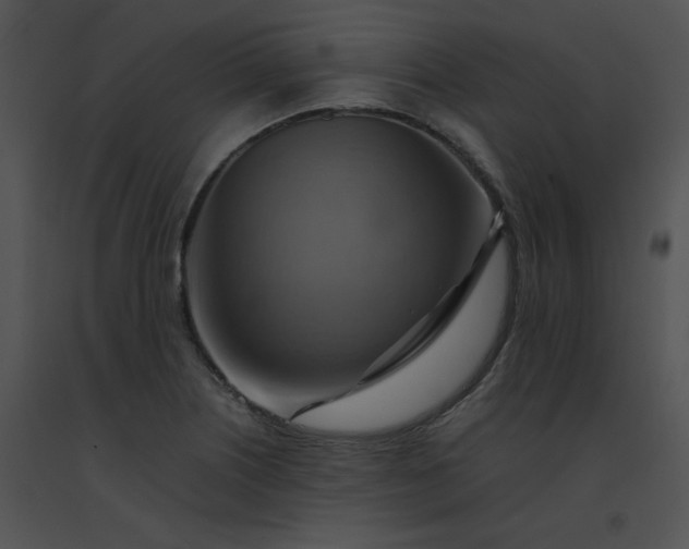 X0000091541226200708311324