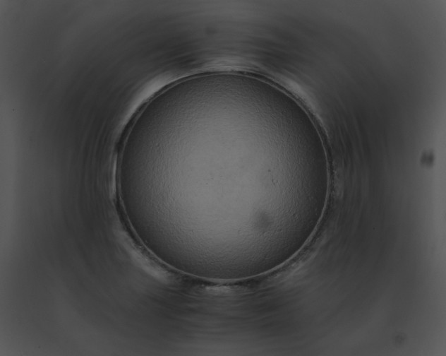 X0000091541227200708311324