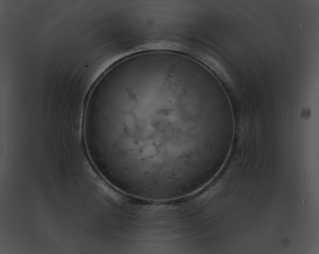 X0000091541228200708311324