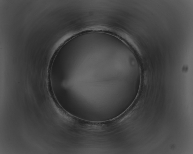 X0000091541229200708311324