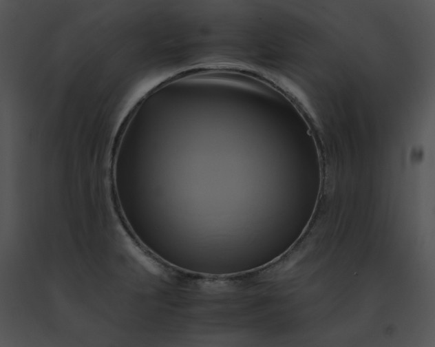 X0000091541231200708311324