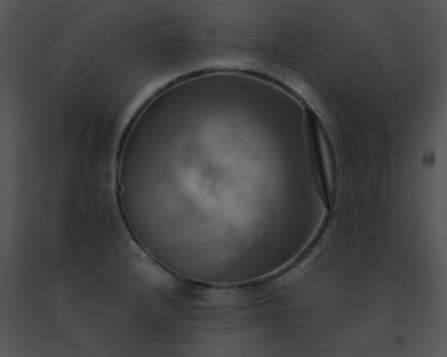 X0000091541232200708311324