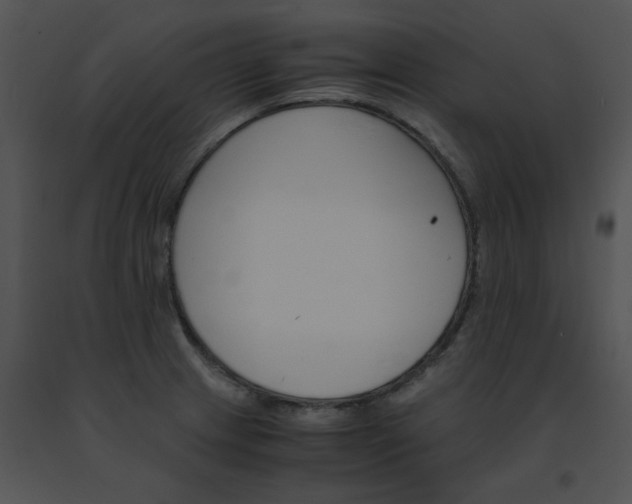 X0000091541233200708311324