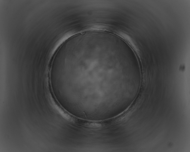 X0000091541235200708311324