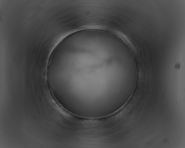 X0000091541236200708311324