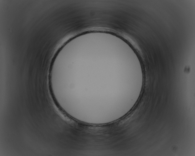 X0000091541237200708311324