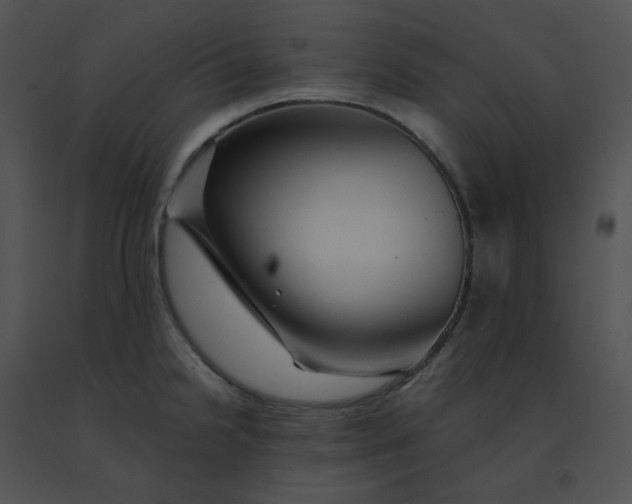 X0000091541238200708311324