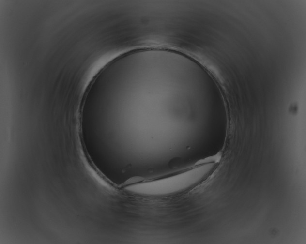 X0000091541239200708311324