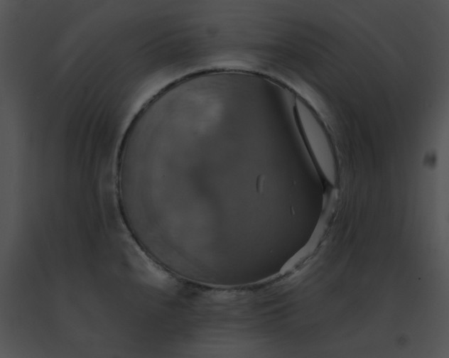 X0000091541240200708311324