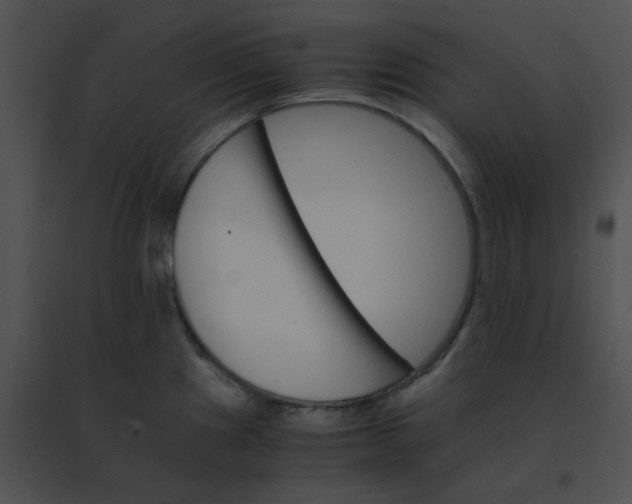 X0000091541241200708311325