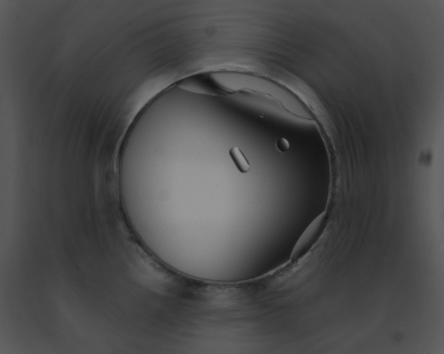 X0000091541242200708311325