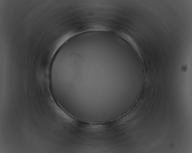 X0000091541243200708311325