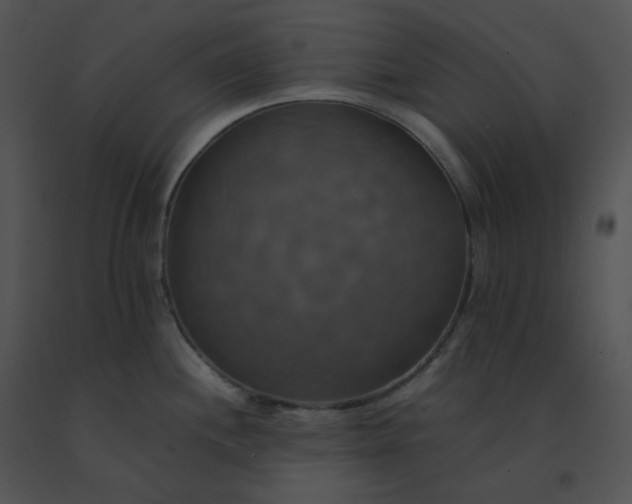 X0000091541244200708311325