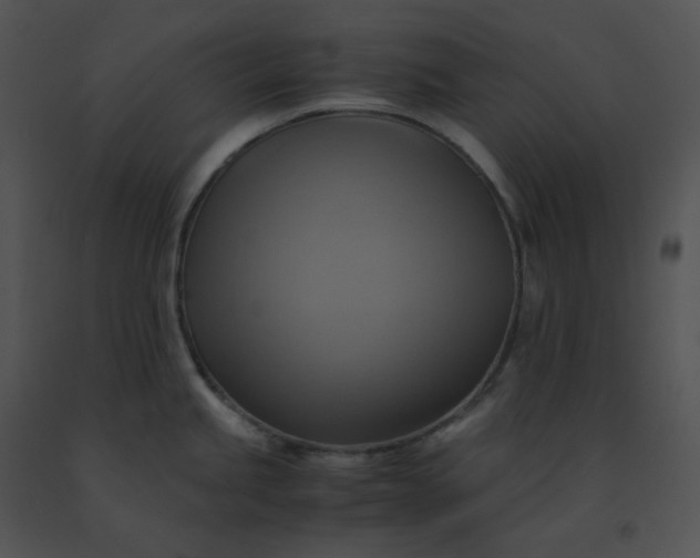 X0000091541245200708311325