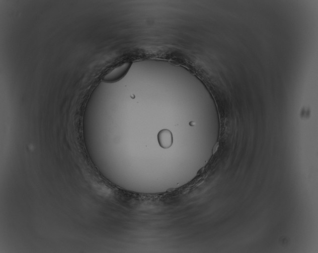 X0000091541249200708311324