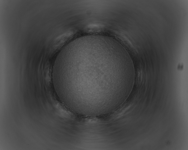 X0000091541250200708311324
