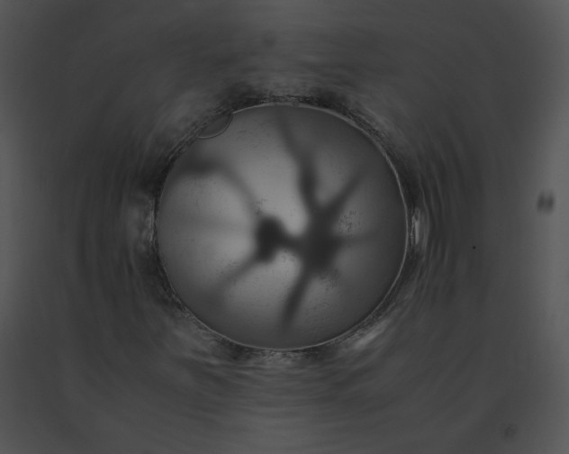 X0000091541251200708311324