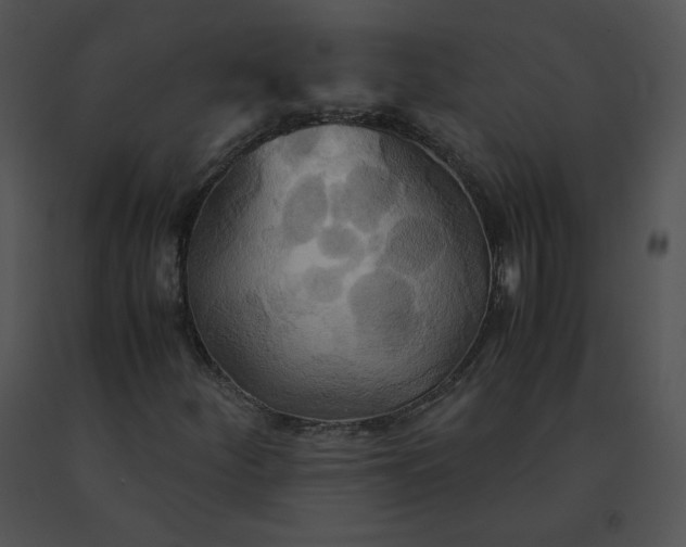 X0000091541252200708311324