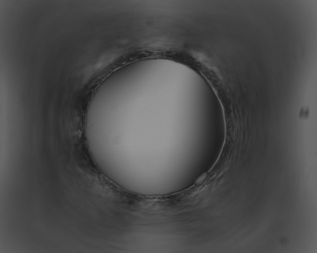 X0000091541253200708311324