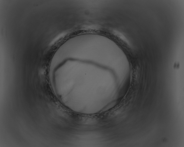 X0000091541254200708311324
