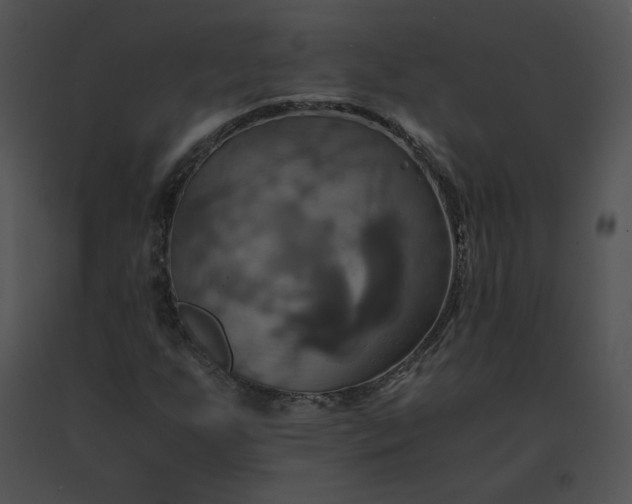 X0000091541255200708311324