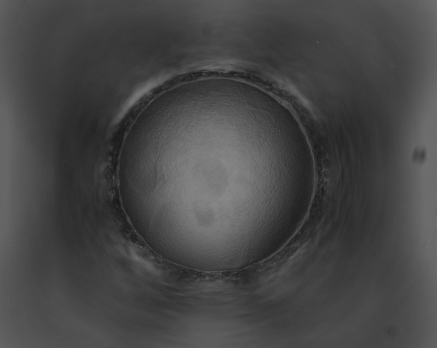 X0000091541256200708311324
