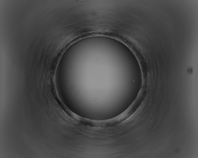 X0000091541257200708311324