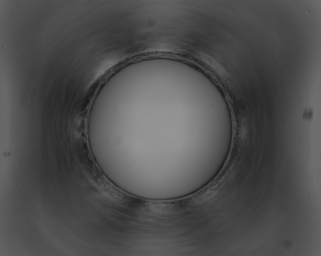 X0000091541258200708311324
