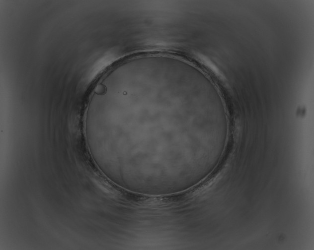 X0000091541259200708311324