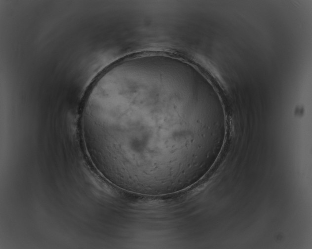 X0000091541260200708311324