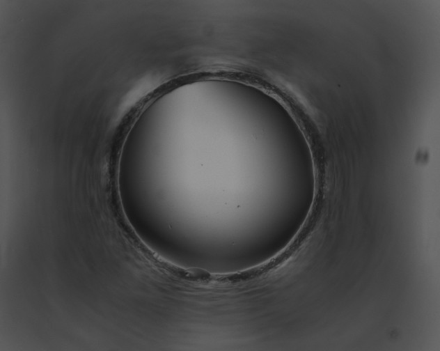 X0000091541261200708311324