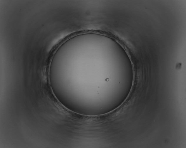 X0000091541262200708311324
