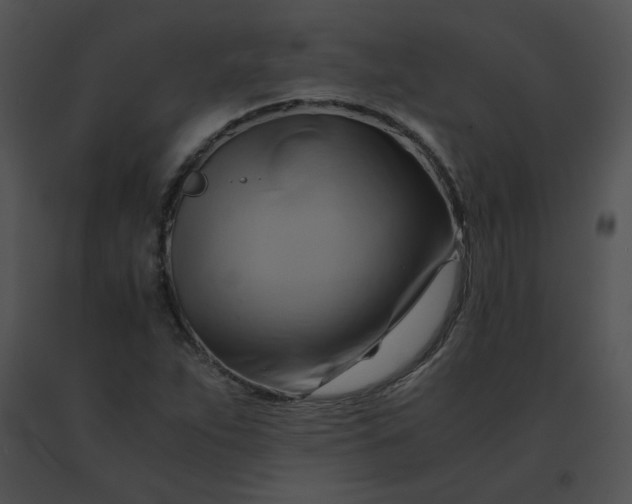 X0000091541263200708311324