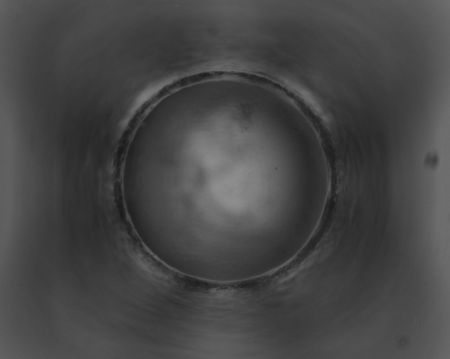 X0000091541264200708311324