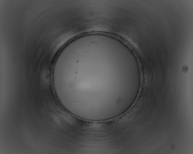 X0000091541266200708311324