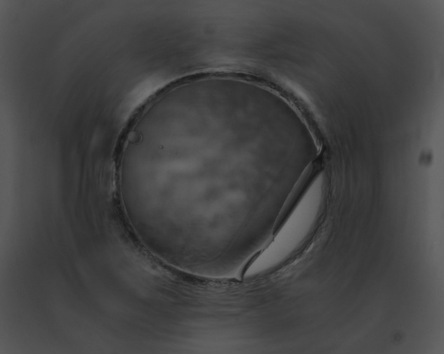 X0000091541267200708311324