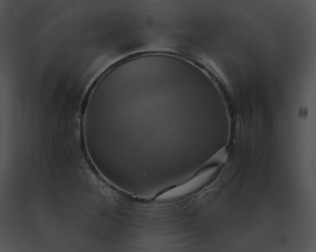 X0000091541268200708311324