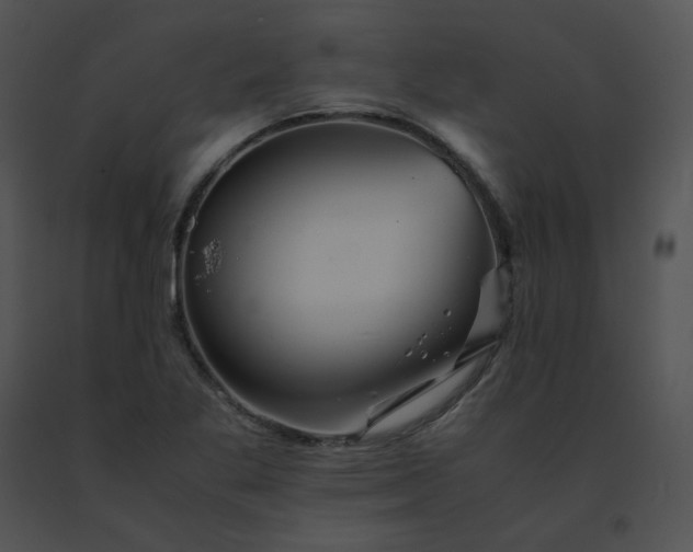 X0000091541269200708311324
