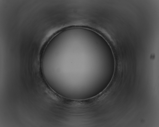 X0000091541270200708311324