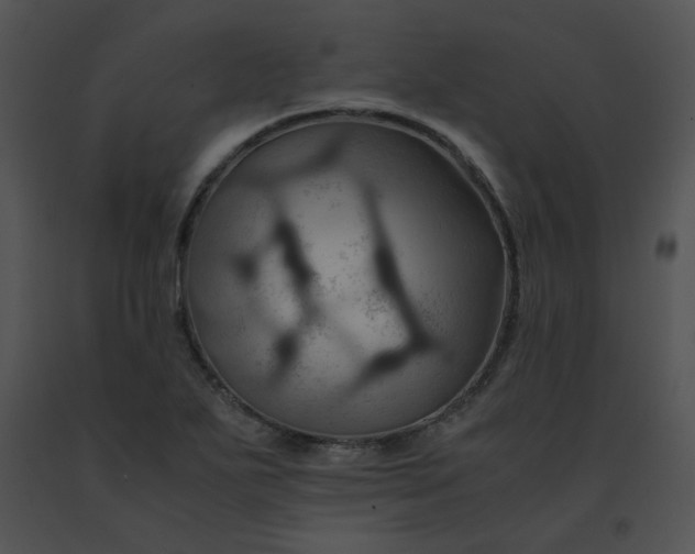X0000091541271200708311324